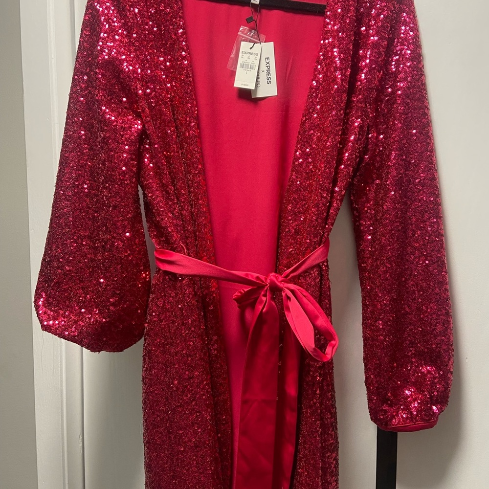 Olivia Culpo X Express Berry Sequin Dress